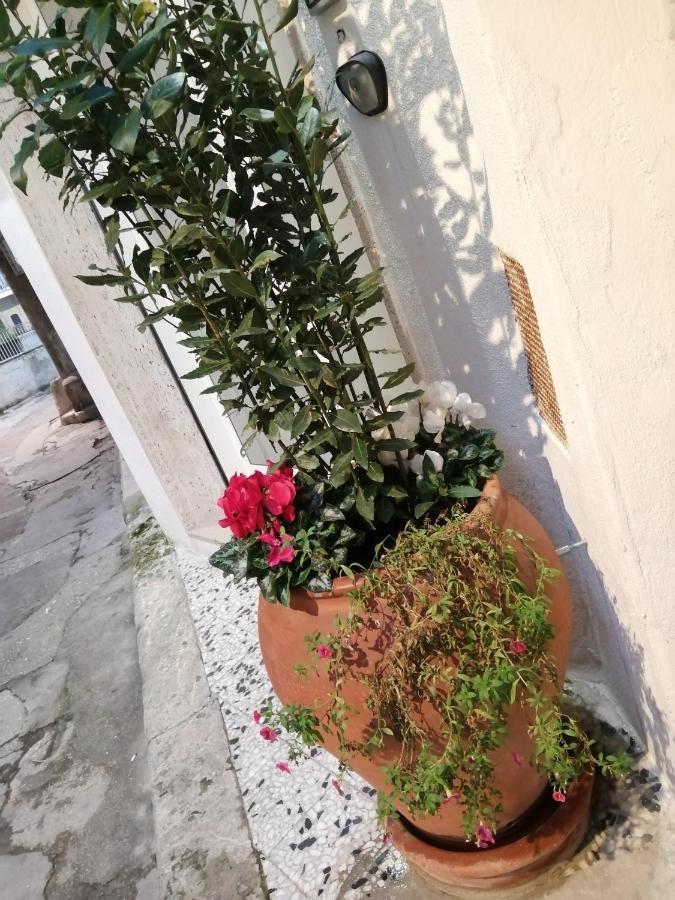 شقة Relax Santa Cecilia غرافينا إن بوليا المظهر الخارجي الصورة